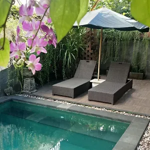  Accommodatie bij particulieren D'puja And Spa